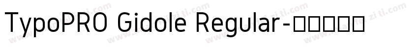 TypoPRO Gidole Regular字体转换